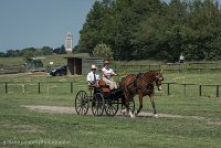 021 P04-DRESSAGE - ATTELAGE - 27052017-GAL 0700 : 2017, 27 Mai 2017, Concours ATTELAGE 2017, DR04, Dressage