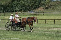 022 P04-DRESSAGE - ATTELAGE - 27052017-GAL 0701 : 2017, 27 Mai 2017, Concours ATTELAGE 2017, DR04, Dressage