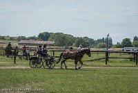 001 P04-MANIABILITE- ATTELAGE - 27052017-ATE 1104 : 2017, 27 Mai 2017, Concours ATTELAGE 2017, Maniabilité, P04