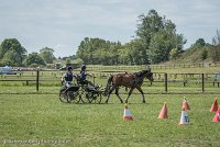 002 P04-MANIABILITE- ATTELAGE - 27052017-ATE 1105 : 2017, 27 Mai 2017, Concours ATTELAGE 2017, Maniabilité, P04