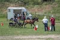 003 P04-MANIABILITE- ATTELAGE - 27052017-ATE 1106 : 2017, 27 Mai 2017, Concours ATTELAGE 2017, Maniabilité, P04