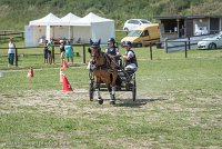 006 P04-MANIABILITE- ATTELAGE - 27052017-ATE 1109 : 2017, 27 Mai 2017, Concours ATTELAGE 2017, Maniabilité, P04