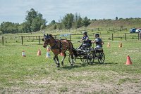 007 P04-MANIABILITE- ATTELAGE - 27052017-ATE 1110 : 2017, 27 Mai 2017, Concours ATTELAGE 2017, Maniabilité, P04