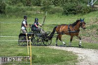 014 P04-MANIABILITE- ATTELAGE - 27052017-ATE 1117 : 2017, 27 Mai 2017, Concours ATTELAGE 2017, Maniabilité, P04