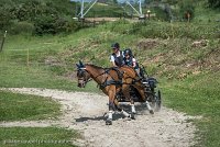 015 P04-MANIABILITE- ATTELAGE - 27052017-ATE 1119 : 2017, 27 Mai 2017, Concours ATTELAGE 2017, Maniabilité, P04