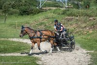 016 P04-MANIABILITE- ATTELAGE - 27052017-ATE 1120 : 2017, 27 Mai 2017, Concours ATTELAGE 2017, Maniabilité, P04