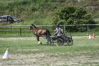 026 P04-MANIABILITE- ATTELAGE - 27052017-ATE 1130 : 2017, 27 Mai 2017, Concours ATTELAGE 2017, Maniabilité, P04