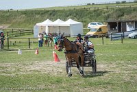 029 P04-MANIABILITE- ATTELAGE - 27052017-ATE 1133 : 2017, 27 Mai 2017, Concours ATTELAGE 2017, Maniabilité, P04