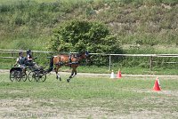 031 P04-MANIABILITE- ATTELAGE - 27052017-ATE 1135 : 2017, 27 Mai 2017, Concours ATTELAGE 2017, Maniabilité, P04