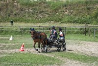 032 P04-MANIABILITE- ATTELAGE - 27052017-ATE 1136 : 2017, 27 Mai 2017, Concours ATTELAGE 2017, Maniabilité, P04
