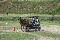 032 P04-MANIABILITE- ATTELAGE - 27052017-ATE 1136 : 2017, 27 Mai 2017, Concours ATTELAGE 2017, Maniabilité, P04