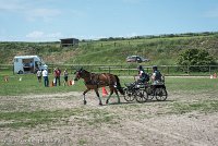 033 P04-MANIABILITE- ATTELAGE - 27052017-ATE 1137 : 2017, 27 Mai 2017, Concours ATTELAGE 2017, Maniabilité, P04