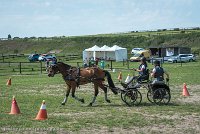 034 P04-MANIABILITE- ATTELAGE - 27052017-ATE 1138 : 2017, 27 Mai 2017, Concours ATTELAGE 2017, Maniabilité, P04