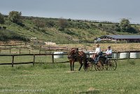 001 P05-DRESSAGE - ATTELAGE - 27052017-GAL 0708 : 2017, 27 Mai 2017, Concours ATTELAGE 2017, DR06, Dressage