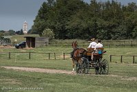 002 P05-DRESSAGE - ATTELAGE - 27052017-GAL 0709 : 2017, 27 Mai 2017, Concours ATTELAGE 2017, DR06, Dressage