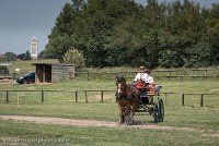 003 P05-DRESSAGE - ATTELAGE - 27052017-GAL 0710 : 2017, 27 Mai 2017, Concours ATTELAGE 2017, DR06, Dressage