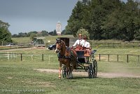 004 P05-DRESSAGE - ATTELAGE - 27052017-GAL 0711 : 2017, 27 Mai 2017, Concours ATTELAGE 2017, DR06, Dressage