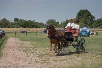 005 P05-DRESSAGE - ATTELAGE - 27052017-GAL 0712 : 2017, 27 Mai 2017, Concours ATTELAGE 2017, DR06, Dressage