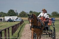 006 P05-DRESSAGE - ATTELAGE - 27052017-GAL 0713 : 2017, 27 Mai 2017, Concours ATTELAGE 2017, DR06, Dressage