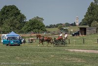 009 P05-DRESSAGE - ATTELAGE - 27052017-GAL 0716 : 2017, 27 Mai 2017, Concours ATTELAGE 2017, DR06, Dressage