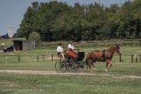 010 P05-DRESSAGE - ATTELAGE - 27052017-GAL 0717 : 2017, 27 Mai 2017, Concours ATTELAGE 2017, DR06, Dressage