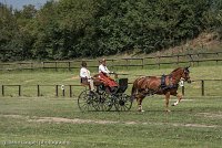 011 P05-DRESSAGE - ATTELAGE - 27052017-GAL 0718 : 2017, 27 Mai 2017, Concours ATTELAGE 2017, DR06, Dressage