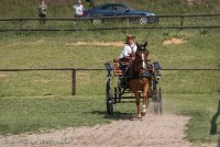 014 P05-DRESSAGE - ATTELAGE - 27052017-GAL 0721 : 2017, 27 Mai 2017, Concours ATTELAGE 2017, DR06, Dressage