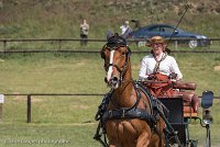 015 P05-DRESSAGE - ATTELAGE - 27052017-GAL 0722 : 2017, 27 Mai 2017, Concours ATTELAGE 2017, DR06, Dressage