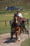 016 P05-DRESSAGE - ATTELAGE - 27052017-GAL 0725 : 2017, 27 Mai 2017, Concours ATTELAGE 2017, DR06, Dressage