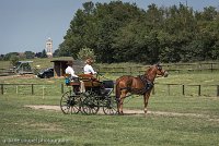 019 P05-DRESSAGE - ATTELAGE - 27052017-GAL 0728 : 2017, 27 Mai 2017, Concours ATTELAGE 2017, DR06, Dressage