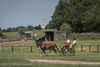 021 P05-DRESSAGE - ATTELAGE - 27052017-GAL 0731 : 2017, 27 Mai 2017, Concours ATTELAGE 2017, DR06, Dressage