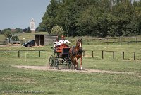 022 P05-DRESSAGE - ATTELAGE - 27052017-GAL 0732 : 2017, 27 Mai 2017, Concours ATTELAGE 2017, DR06, Dressage