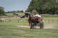 023 P05-DRESSAGE - ATTELAGE - 27052017-GAL 0733 : 2017, 27 Mai 2017, Concours ATTELAGE 2017, DR06, Dressage