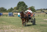 025 P05-DRESSAGE - ATTELAGE - 27052017-GAL 0735 : 2017, 27 Mai 2017, Concours ATTELAGE 2017, DR06, Dressage