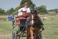 026 P05-DRESSAGE - ATTELAGE - 27052017-GAL 0736 : 2017, 27 Mai 2017, Concours ATTELAGE 2017, DR06, Dressage