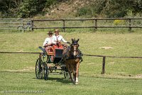 028 P05-DRESSAGE - ATTELAGE - 27052017-GAL 0738 : 2017, 27 Mai 2017, Concours ATTELAGE 2017, DR06, Dressage