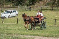 029 P05-DRESSAGE - ATTELAGE - 27052017-GAL 0739 : 2017, 27 Mai 2017, Concours ATTELAGE 2017, DR06, Dressage