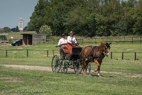 030 P05-DRESSAGE - ATTELAGE - 27052017-GAL 0740 : 2017, 27 Mai 2017, Concours ATTELAGE 2017, DR06, Dressage