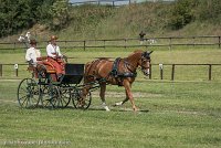 031 P05-DRESSAGE - ATTELAGE - 27052017-GAL 0741 : 2017, 27 Mai 2017, Concours ATTELAGE 2017, DR06, Dressage