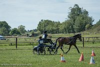 001 P05-MANIABILITE- ATTELAGE - 27052017-ATE 1139 : 2017, 27 Mai 2017, Concours ATTELAGE 2017, Maniabilité, P05