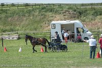 003 P05-MANIABILITE- ATTELAGE - 27052017-ATE 1141 : 2017, 27 Mai 2017, Concours ATTELAGE 2017, Maniabilité, P05