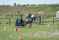 004 P05-MANIABILITE- ATTELAGE - 27052017-ATE 1142 : 2017, 27 Mai 2017, Concours ATTELAGE 2017, Maniabilité, P05