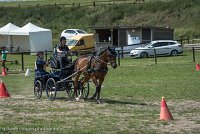 006 P05-MANIABILITE- ATTELAGE - 27052017-ATE 1145 : 2017, 27 Mai 2017, Concours ATTELAGE 2017, Maniabilité, P05