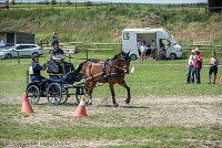 007 P05-MANIABILITE- ATTELAGE - 27052017-ATE 1146 : 2017, 27 Mai 2017, Concours ATTELAGE 2017, Maniabilité, P05