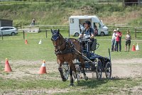 008 P05-MANIABILITE- ATTELAGE - 27052017-ATE 1147 : 2017, 27 Mai 2017, Concours ATTELAGE 2017, Maniabilité, P05