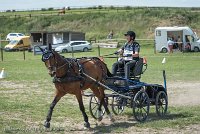 009 P05-MANIABILITE- ATTELAGE - 27052017-ATE 1148 : 2017, 27 Mai 2017, Concours ATTELAGE 2017, Maniabilité, P05