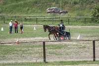 011 P05-MANIABILITE- ATTELAGE - 27052017-ATE 1150 : 2017, 27 Mai 2017, Concours ATTELAGE 2017, Maniabilité, P05