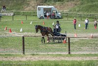 012 P05-MANIABILITE- ATTELAGE - 27052017-ATE 1151 : 2017, 27 Mai 2017, Concours ATTELAGE 2017, Maniabilité, P05