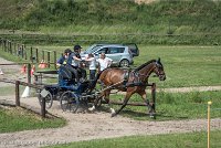 015 P05-MANIABILITE- ATTELAGE - 27052017-ATE 1154 : 2017, 27 Mai 2017, Concours ATTELAGE 2017, Maniabilité, P05