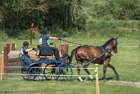 016 P05-MANIABILITE- ATTELAGE - 27052017-ATE 1155 : 2017, 27 Mai 2017, Concours ATTELAGE 2017, Maniabilité, P05